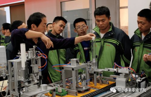 縱橫融合 資源共享 推進中高職一體化辦學